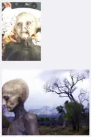 [THUMB]
